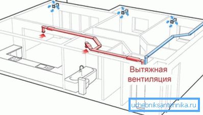 Чист и свеж ваздух у ваздуху игра важну улогу у нашим животима.