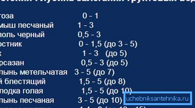 Дубина у присуству неких биљака. Дубина у присуству неких биљака.