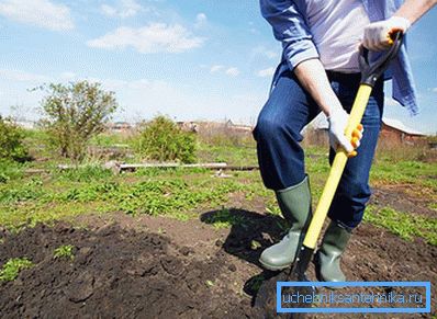 1243 Место за грезницу изабрано је у башти