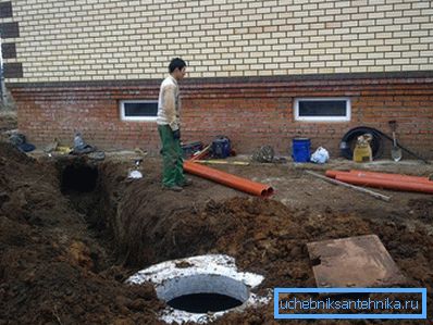 861 Плацемент