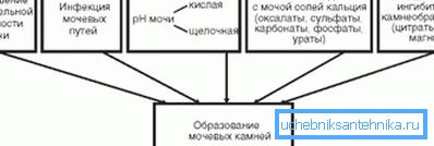 На слици су приказани узроци уринарног камена. На слици су приказани узроци уринарног камена.