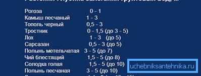 Присуство биљака ће рећи дубину водоносника