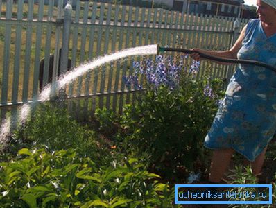 Обилно заливање доводи до прекомјерне потрошње воде. Обилно заливање доводи до прекомјерне потрошње воде.