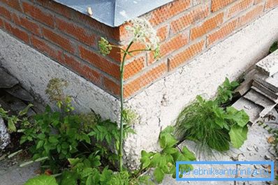 1211 Црустинг Басемент Бетон