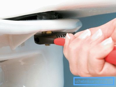 Отпустите и уклоните завртње, након тога - демонтирајте сам резервоар Отпустите и уклоните завртње, након тога - демонтирајте сам резервоар