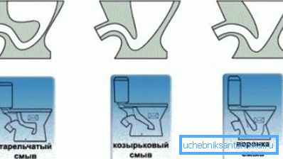 Главне врсте ВЦ шкољке. Главне врсте ВЦ шкољке.
