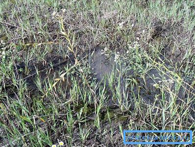 1200 Земља не упија воду