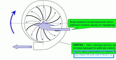 Принцип рада центрифугалних пумпи. Принцип рада центрифугалних пумпи.