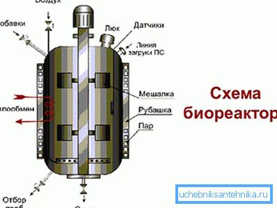 3966 Биореакторски круг