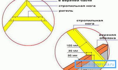 Цоннецтион рафтер. Цоннецтион рафтер.