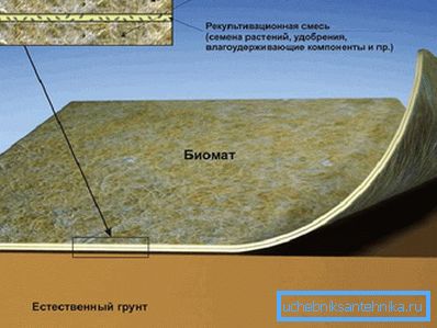 1207 Биоматска структура