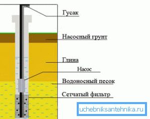 Структура на пешчару Структура на пешчару