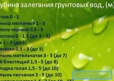 Табела дубине подземних вода у метрима у зависности од раста на површини биљака Табела дубине подземних вода у метрима у зависности од раста на површини биљака