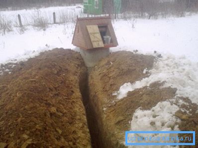 Роко из бунара Роко из бунара