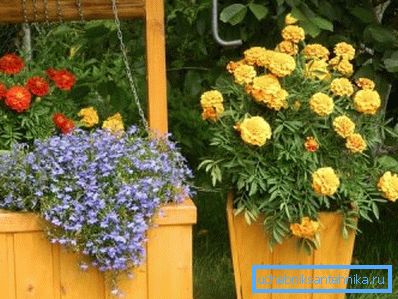 Цветни кревет у бунару