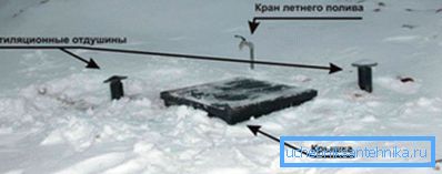 Врста кесона зими Врста кесона зими