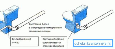 Врсте Врсте