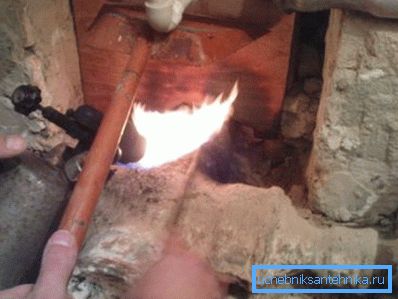Запаљене дивокозе.
